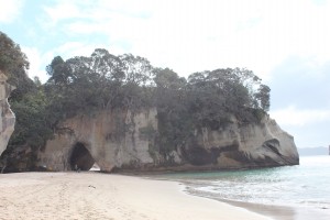 Tolaga Bay-The Mount-Cooks Beach-036